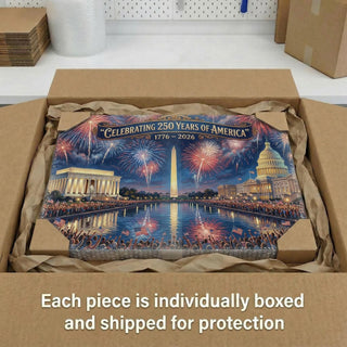 America's 250th Anniversary Fireworks Over DC Canvas (24"x 16")