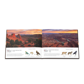 America's National Parks Hardcover Coffee Table Book (24 Pages)