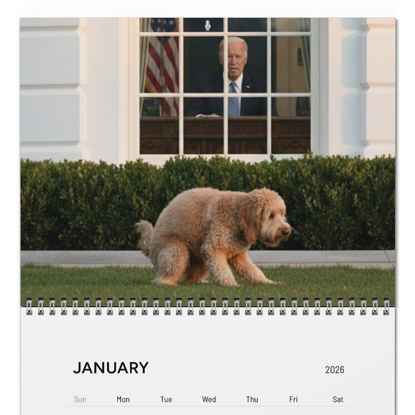 Pooping Dogs Owning Liberals 2026 Calendar - Funny Calendar & White Elephant Gag Gift Calendar